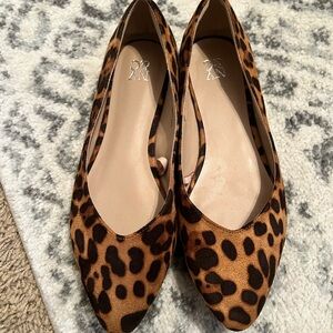 New York and Company